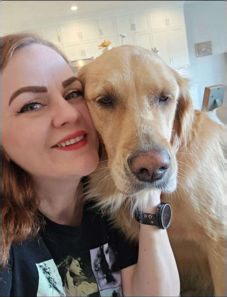 Brittany with a golden retriever